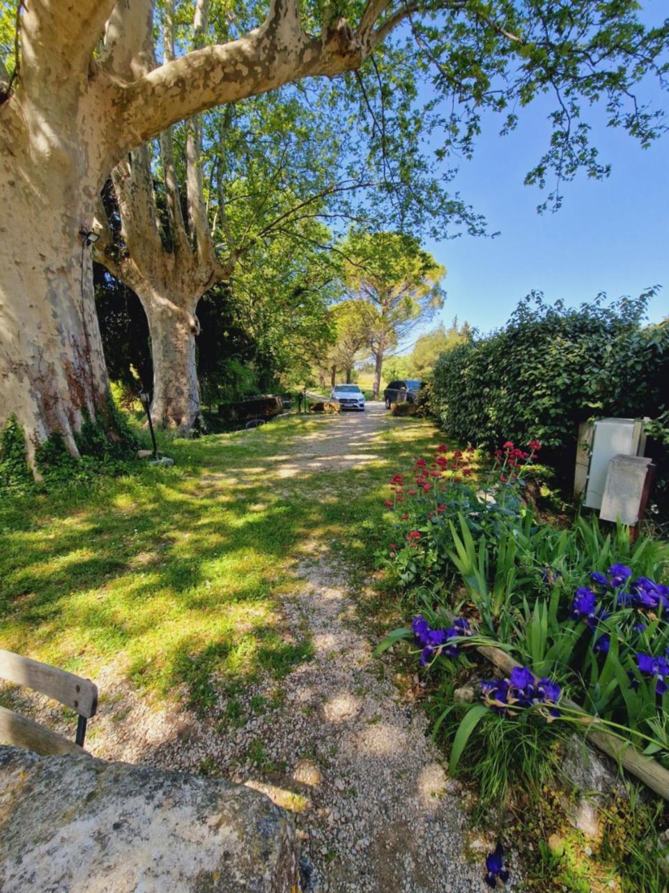 مبيت وإفطار Eygalières Ancien Mas Du Moulin المظهر الخارجي الصورة