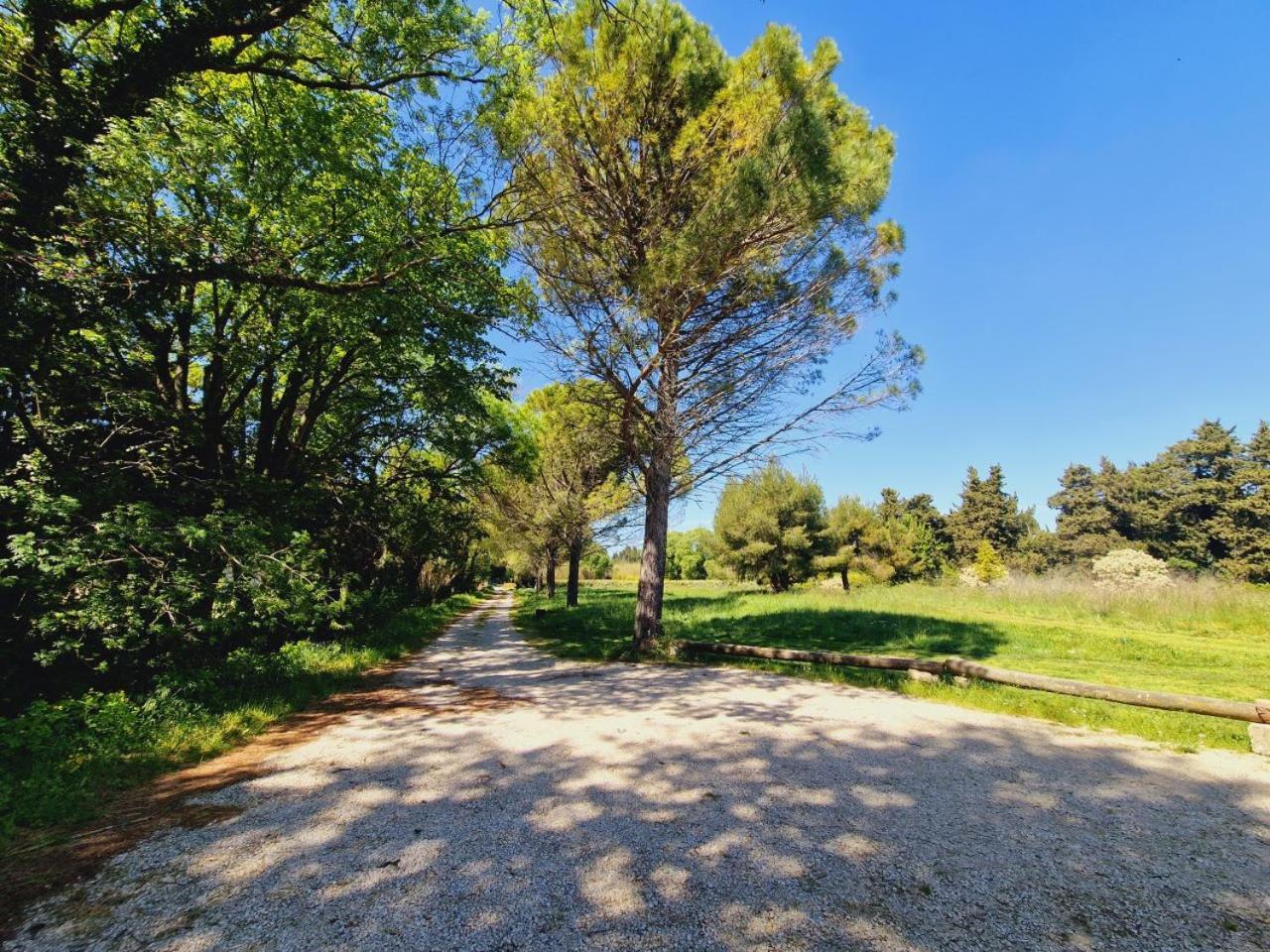 مبيت وإفطار Eygalières Ancien Mas Du Moulin المظهر الخارجي الصورة